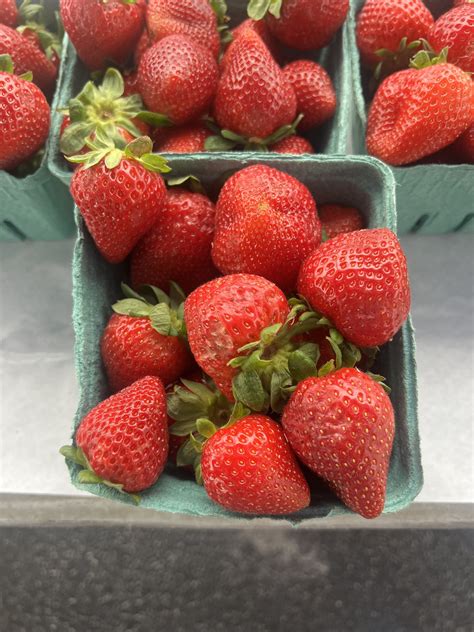 Kingsport Farmers Market | Kingsport TN