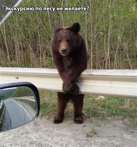 Свежие фотоприколы! / Приколы