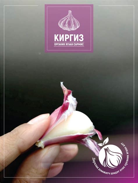 Киргиз Органик Ягаан Сармис