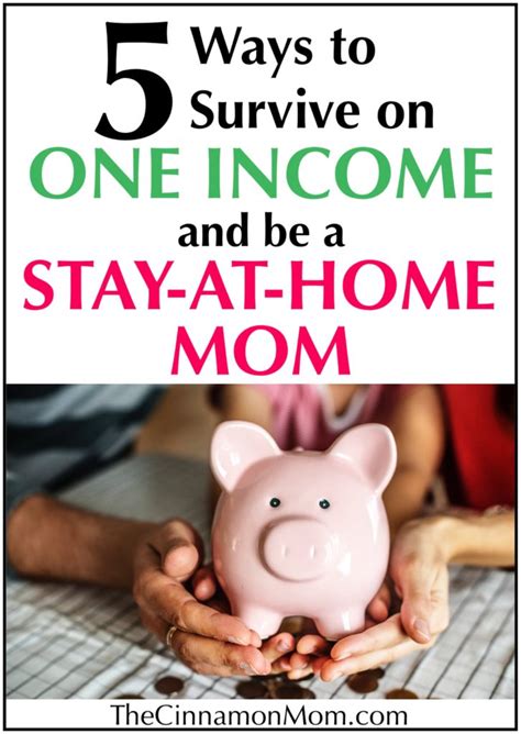 ways  survive   income    stay  home mom