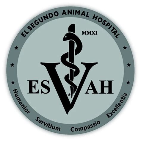 El Segundo Animal Hospital - 124 Photos & 126 Reviews - Veterinarians - 240 Center St, El ...