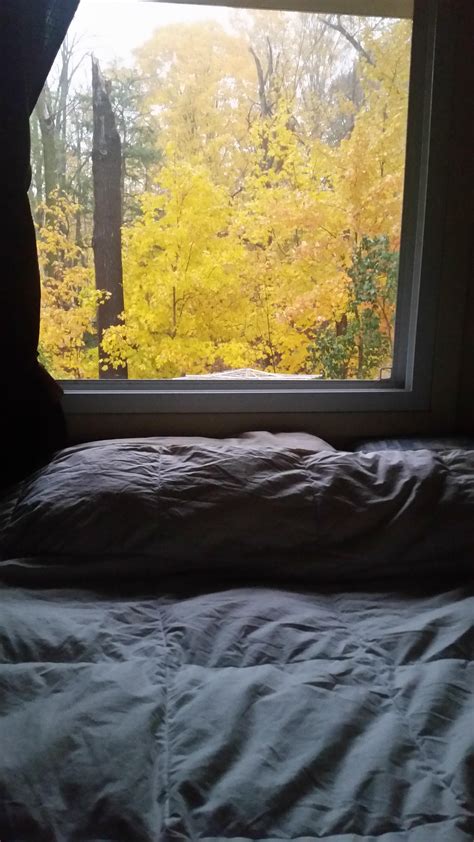 The view from my bedroom window : r/CozyPlaces