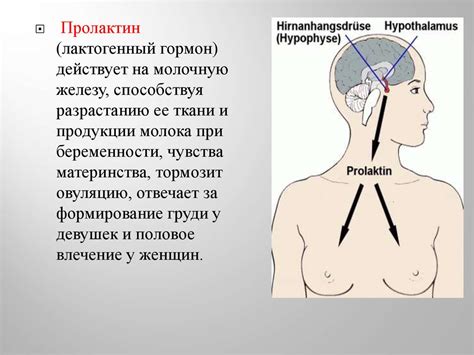 Эндокринология. Общая эндокринология. Частная эндокринология ...