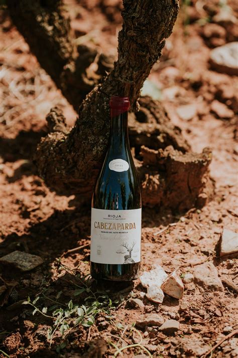 Viña Salceda rinde homenaje a las montañas riojanas con dos vinos ...