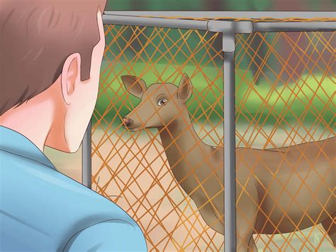 3 Ways to Catch a Deer - wikiHow