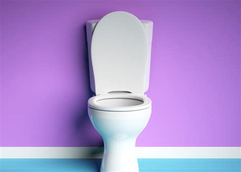 19 coisas que não deve mandar pela sanita
