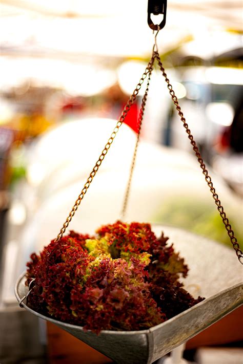 Mariposa Farmers' Market