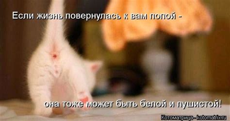Мальчик Подсматривал За Мамой Под Столом.Rar - offshoreprogrammy