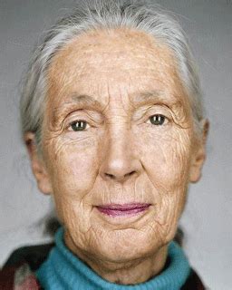 Jane Goodall Retouch GIF
