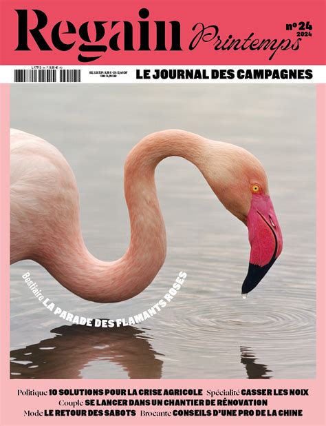 Regain Magazine – Le journal des campagnes