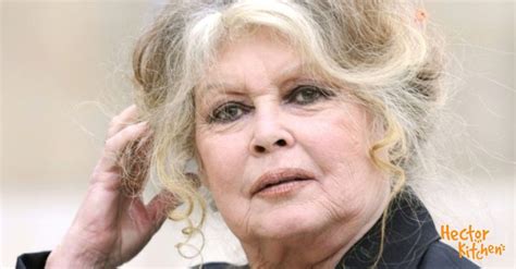 tout savoir sur le travail de la fondation brigitte bardot