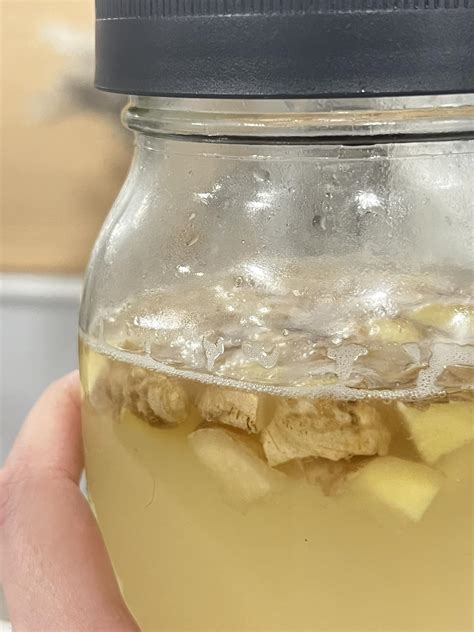 Ginger Bug Tips and Tricks | I have attempted a ginger bug several
