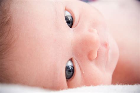 baby  stock photo public domain pictures