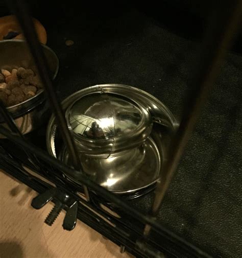 best hidden easter egg : r/funny