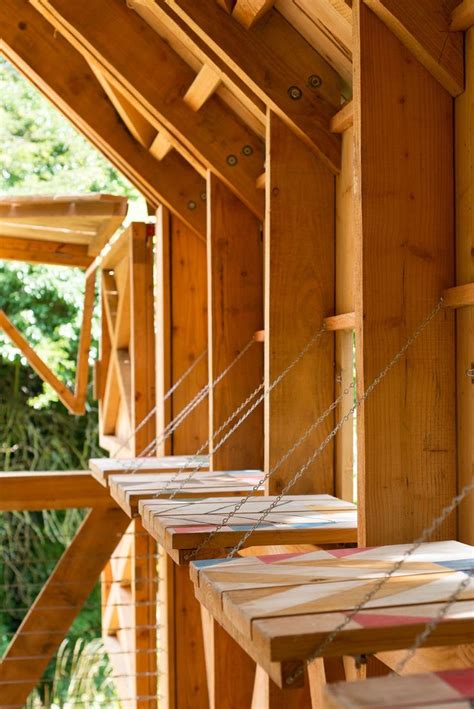 ecology  colour timber architecture studio weave timber structure