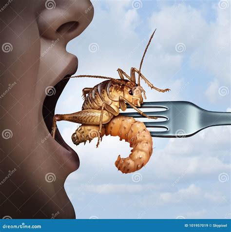 Eat Insects stock illustration. Illustration of insects - 101957019