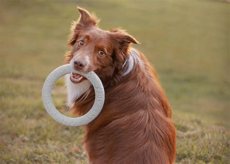 oklahoma city home and garden show 9