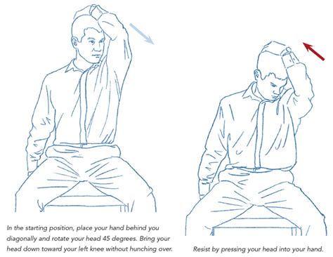 levator scapula stretch equilibrium natural health