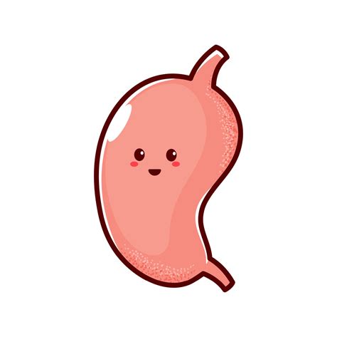 Digestive system organ stomach cartoon character 10876280 Vector Art at ...