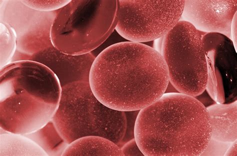 Bientôt du sang fait au labo? - Québec Science