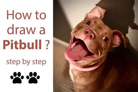 how to draw a pitbull dog