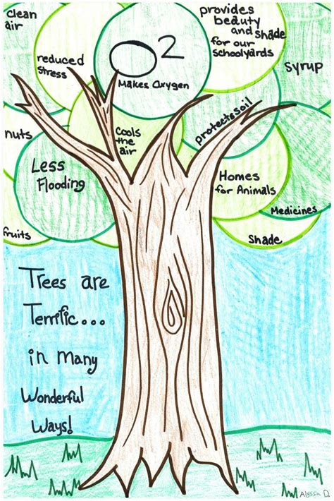 2021 Poster Contest – Delaware Trees