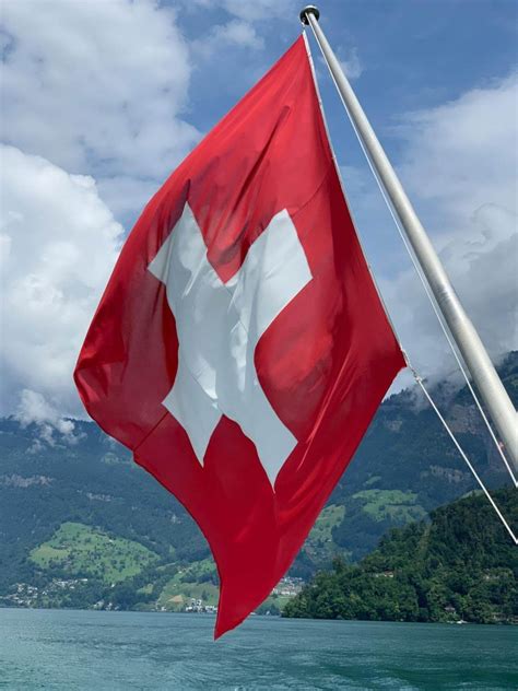 paid  move  switzerland usd   adult