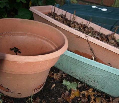 Cleaning and Storing Pots for Next Year - Home Fixated