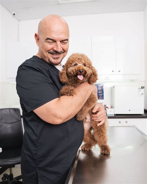 How to Tell if Your Dog Has Cancer ? 8 Common Signs