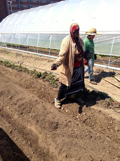 Farmers Without Borders: In Cleveland, Urban Agriculture Seeds Refugee