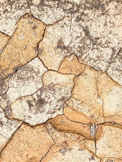 arid land detail  stocksy contributor goldmund lukic stocksy