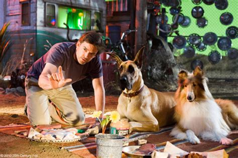 Marmaduke (2010) Movie Photos and Stills - Fandango