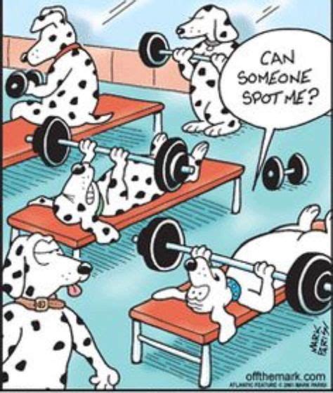 by Anne Wright on Weights and Warpaint | Funny cartoons, Workout ...