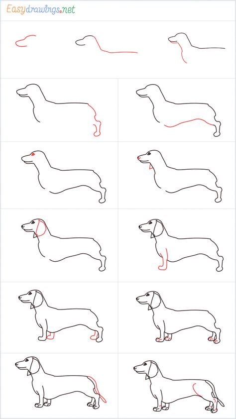 how to draw a dachshund easy