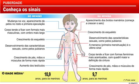 Quais Hormônios Passam Por Alterações Significativas Na Puberdade