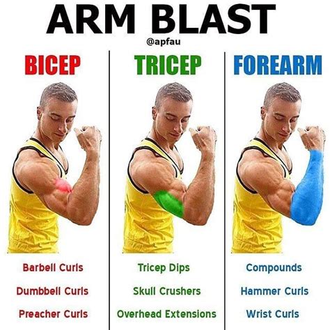 arm blast  atapfau arms    body part