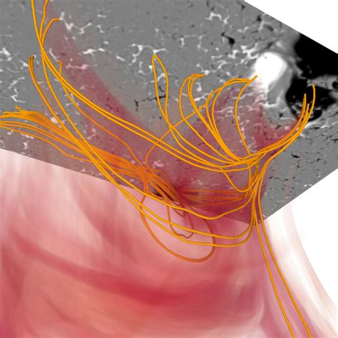 A 3D illustration of the magnetic field lines coupled with the cool and ...