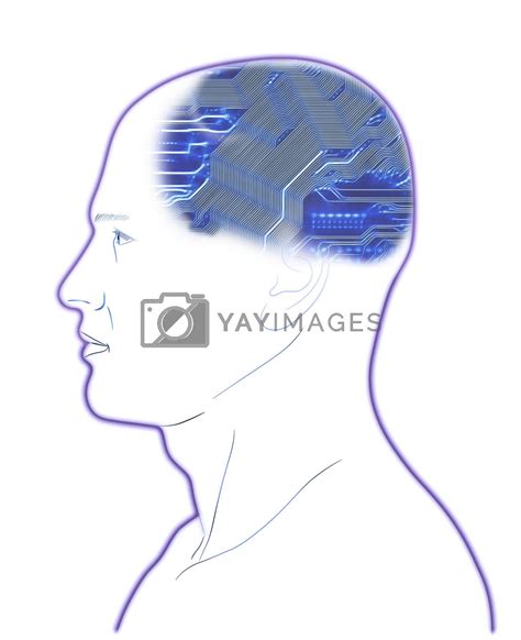 computer  head  mibuch vectors illustrations  unlimited