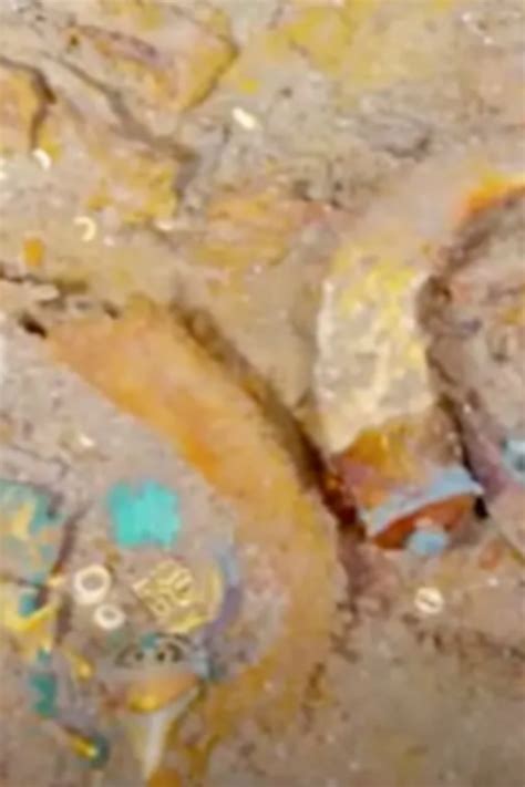 10 Mind-Blowing Discoveries from the Tori Pages Photo Leak Investigation - 9ylxfxq