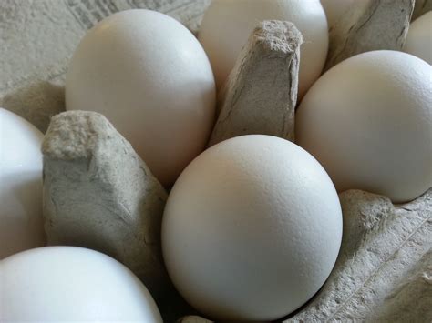 dozen eggs  stock photo public domain pictures