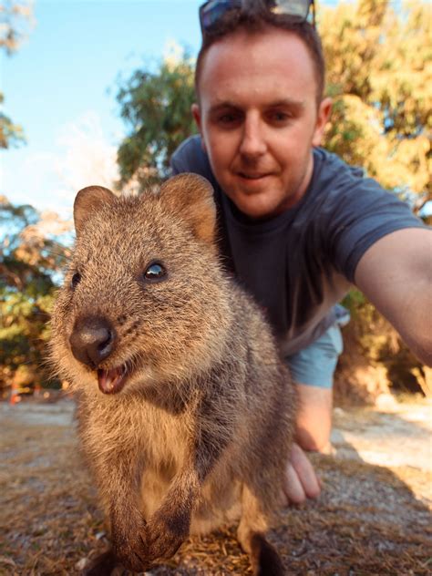 What Sea Animal Has No Predators at Dustin Richards blog