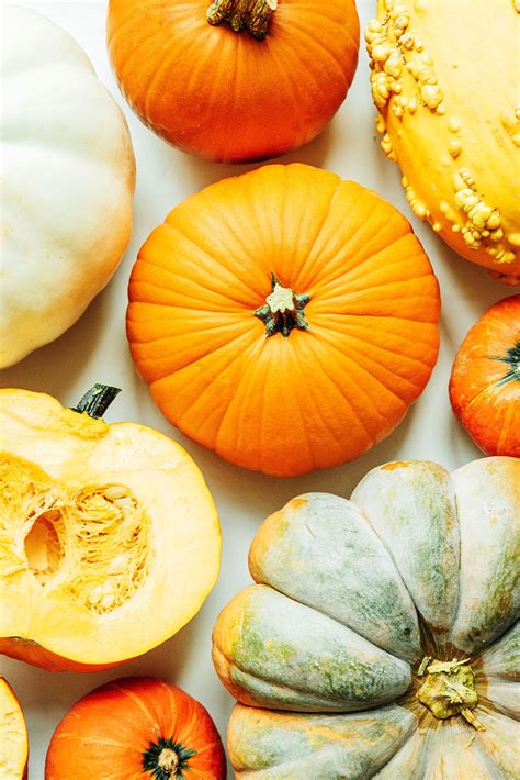 Are Pumpkin Guts Good For Dogs