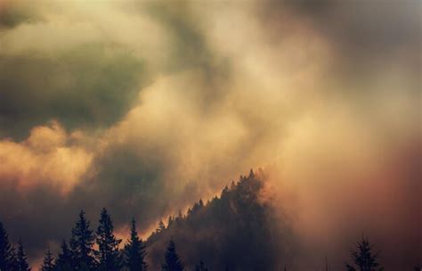 Premium Photo | Misty mountain landscape