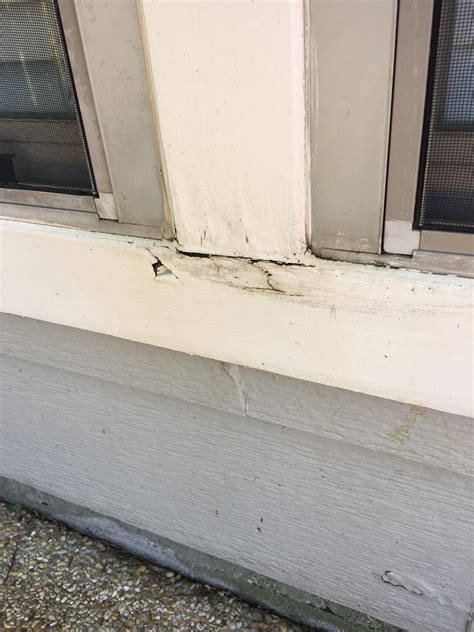 Wood Rotting Under Exterior Window | Home & Garden