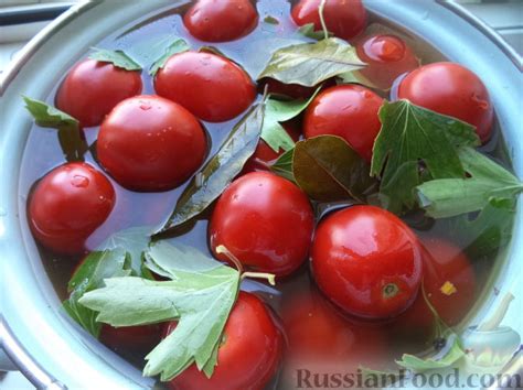 Помидоры соленые, рецепты на RussianFood.com: 93 рецепта соленых помидоров