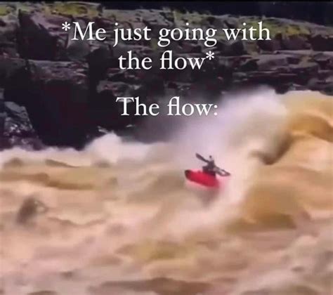 flow memes memedroid
