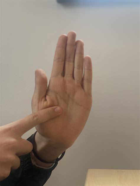 Michigan Hand Map | Devpost