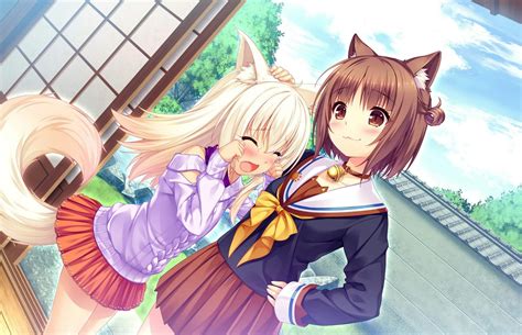 nekopara