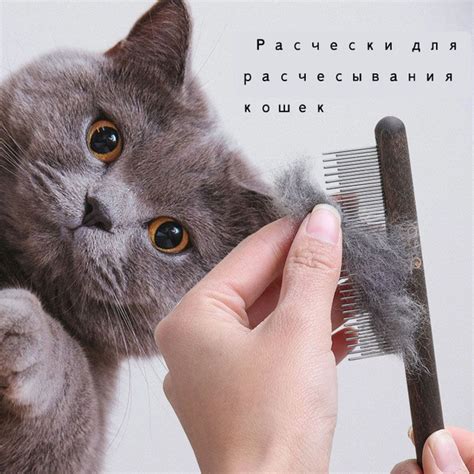 Расческа для питомца Расческа для кошки - купить с доставкой по ...