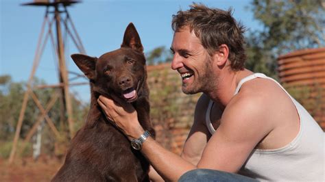 red dog  directed  kriv stenders reviews film cast letterboxd